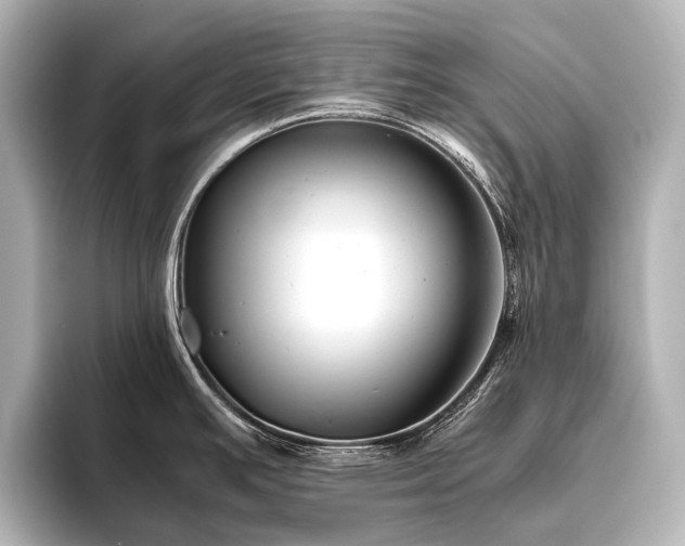 X0000096401391200801241152