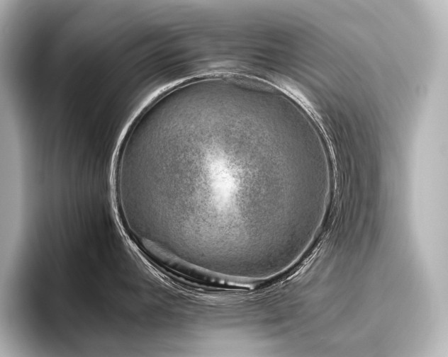 X0000096401392200801241152