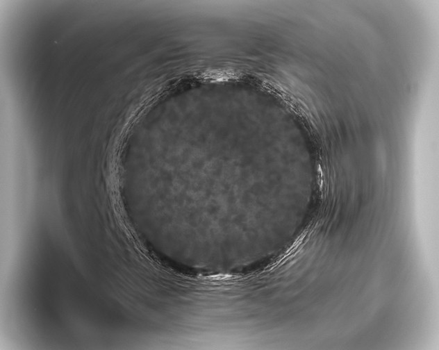 X0000096401393200801241151