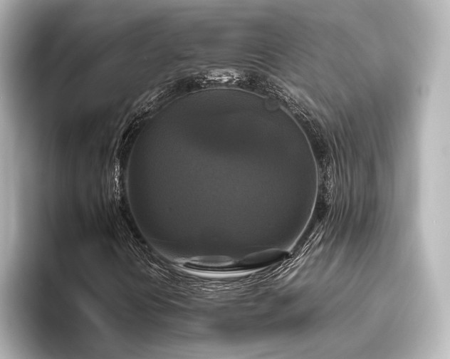 X0000096401394200801241151