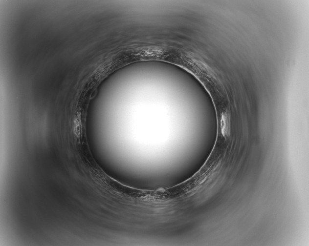 X0000096401395200801241151