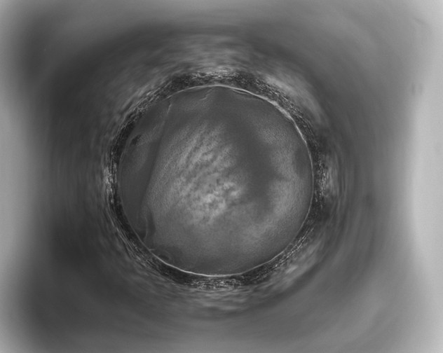 X0000096401397200801241151