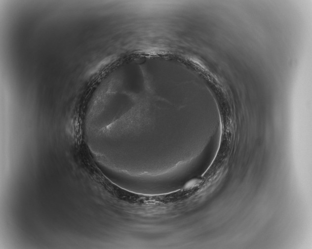 X0000096401398200801241151