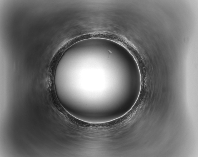 X0000096401400200801241151