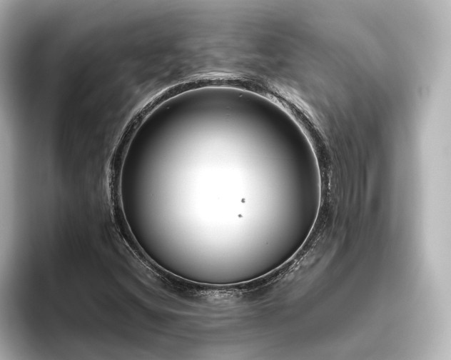 X0000096401404200801241151