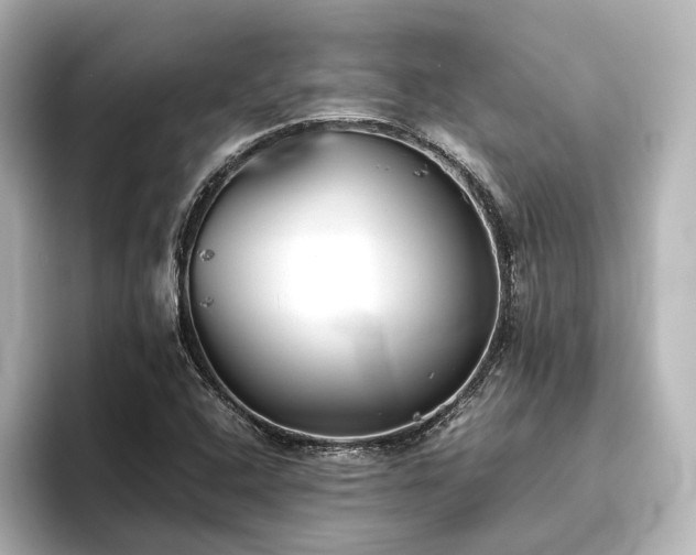 X0000096401408200801241151