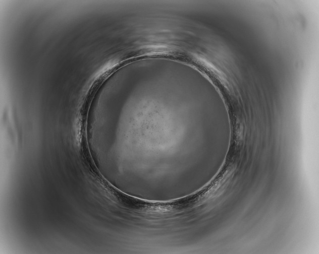 X0000096401411200801241151