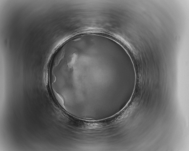 X0000096401413200801241151