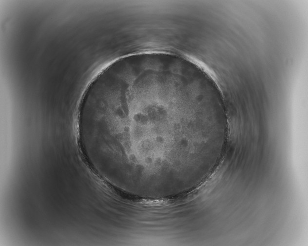 X0000096401415200801241151