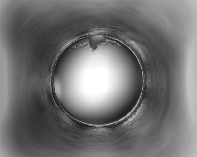 X0000096401417200801241151