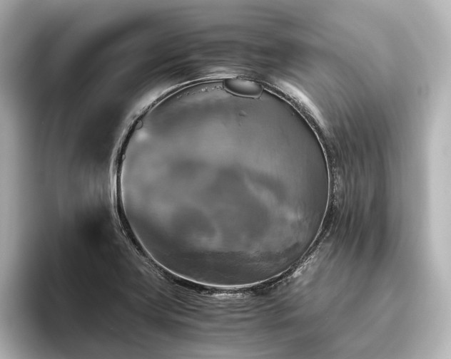 X0000096401419200801241151