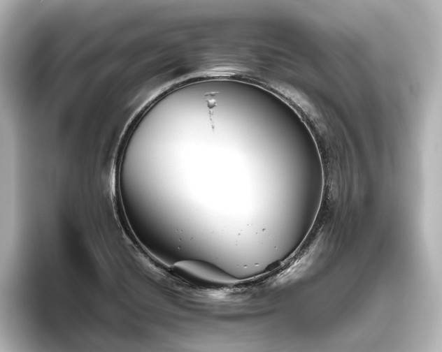 X0000096401420200801241152