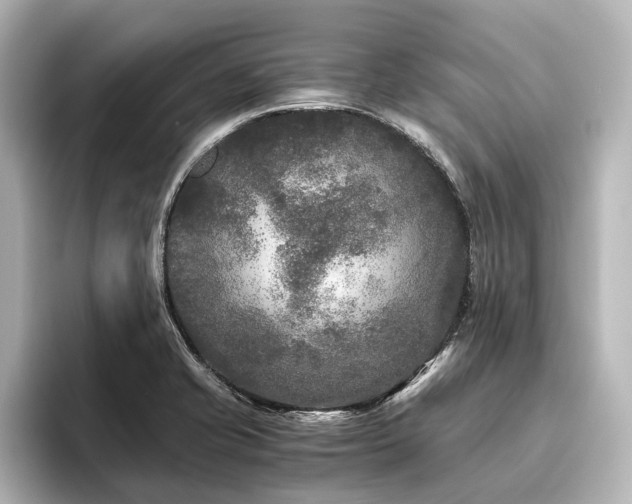 X0000096401421200801241152