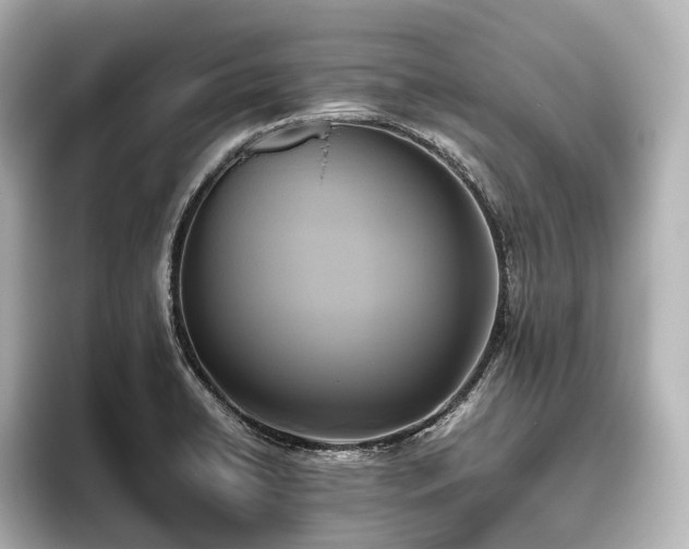 X0000096401422200801241152