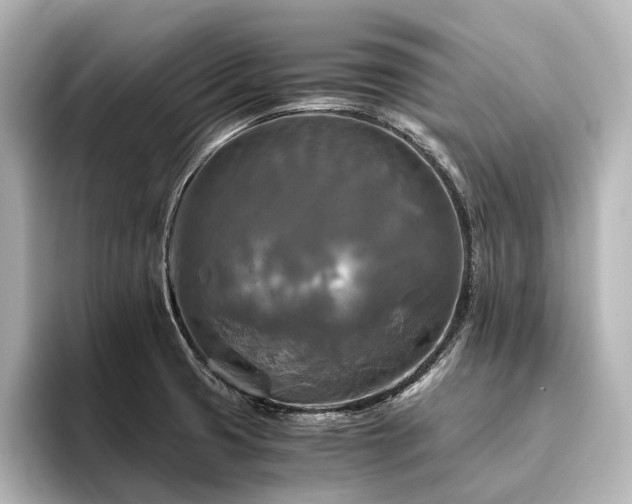 X0000096401425200801241152