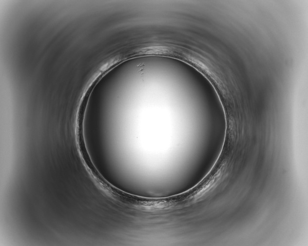 X0000096401426200801241152