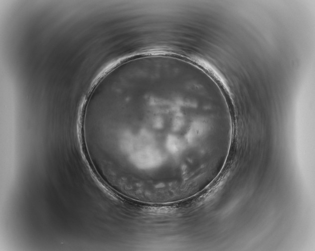 X0000096401429200801241152