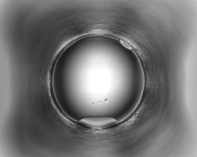 X0000096401430200801241152