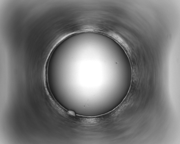 X0000096401431200801241152