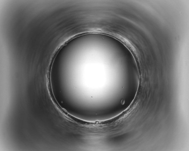 X0000096401432200801241152