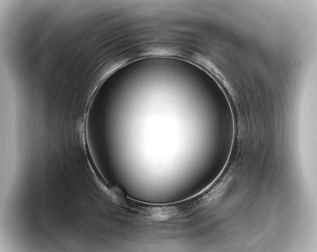 X0000096401433200801241152