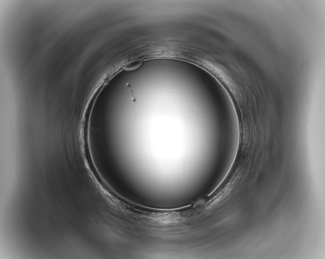 X0000096401434200801241152