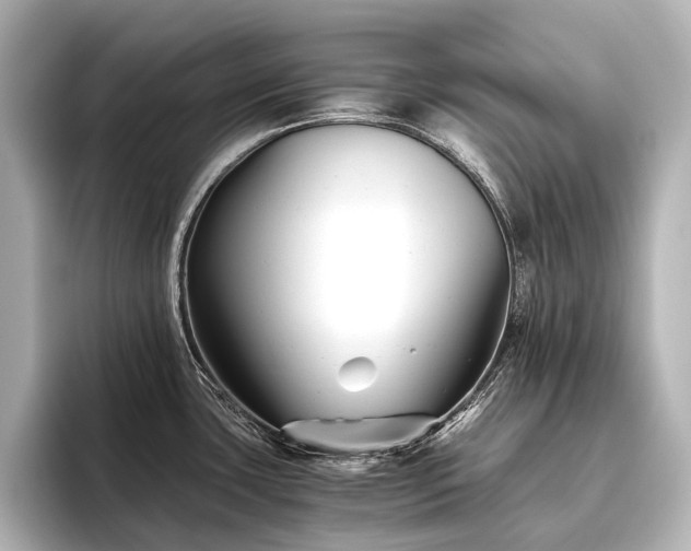 X0000096401435200801241152