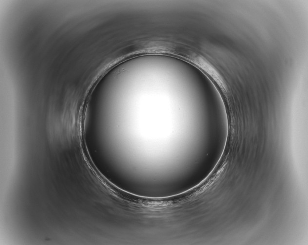 X0000096401436200801241152