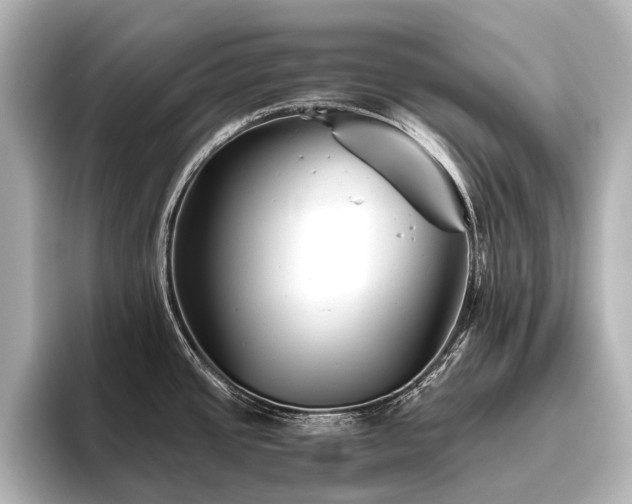 X0000096401437200801241152