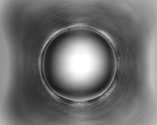 X0000096401438200801241152