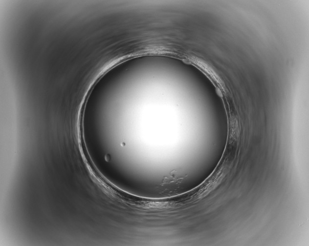 X0000096401439200801241152