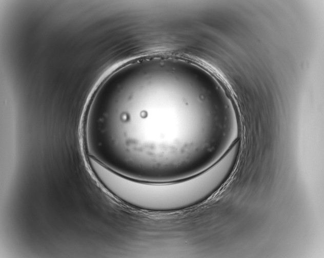 X0000096401440200801241152