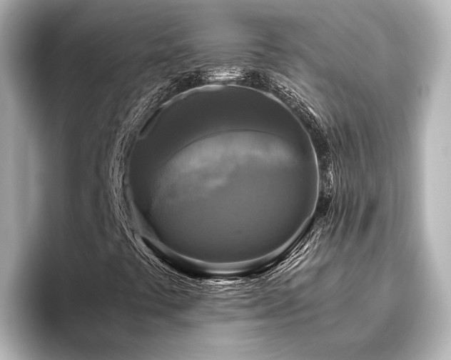 X0000096401441200801241151