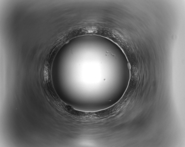 X0000096401442200801241151