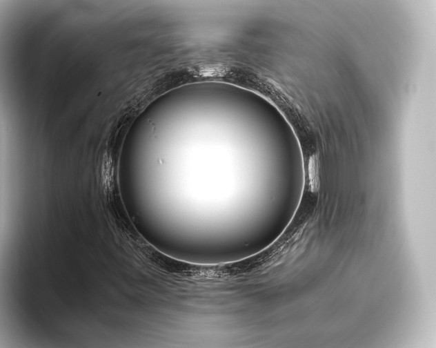 X0000096401443200801241151