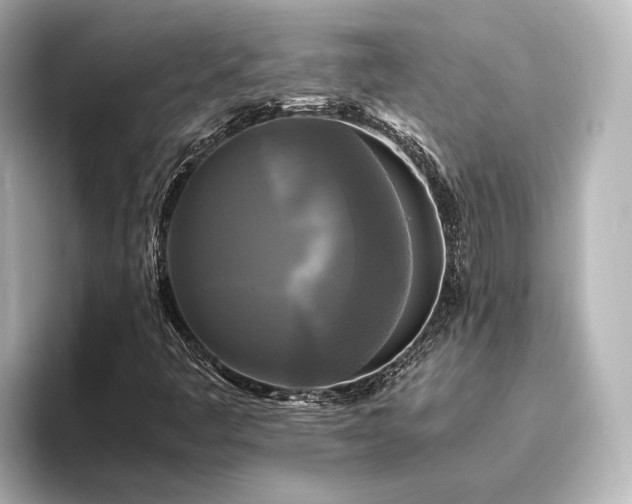 X0000096401445200801241151