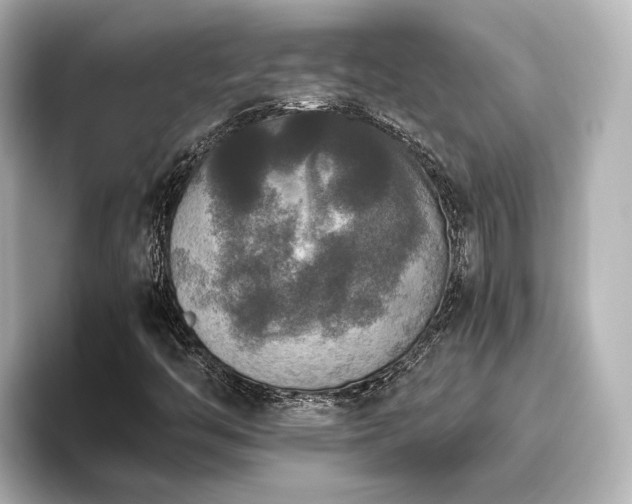 X0000096401446200801241151