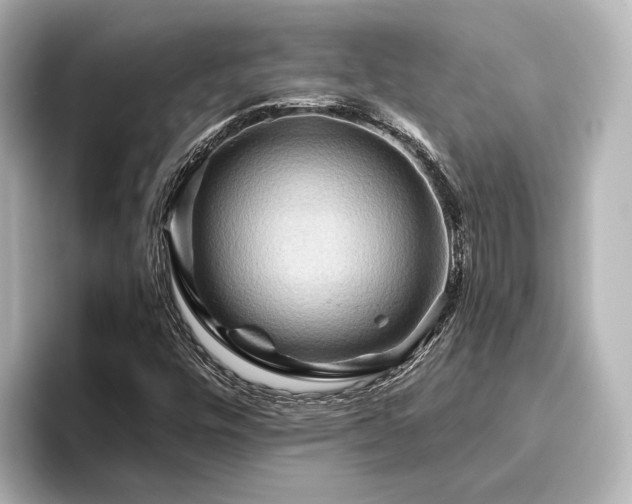 X0000096401448200801241151