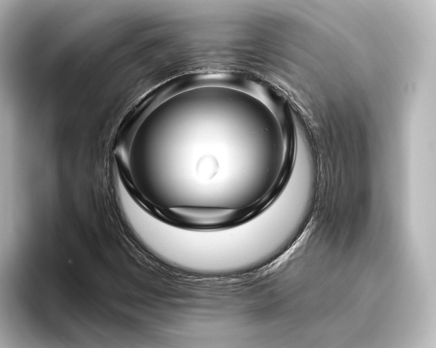 X0000096401449200801241151