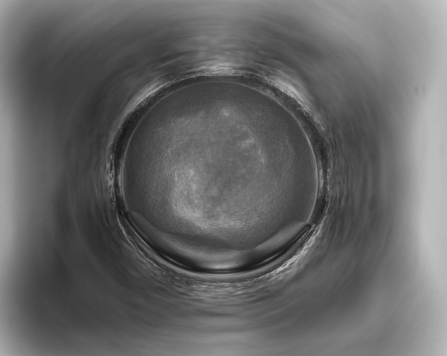 X0000096401450200801241151