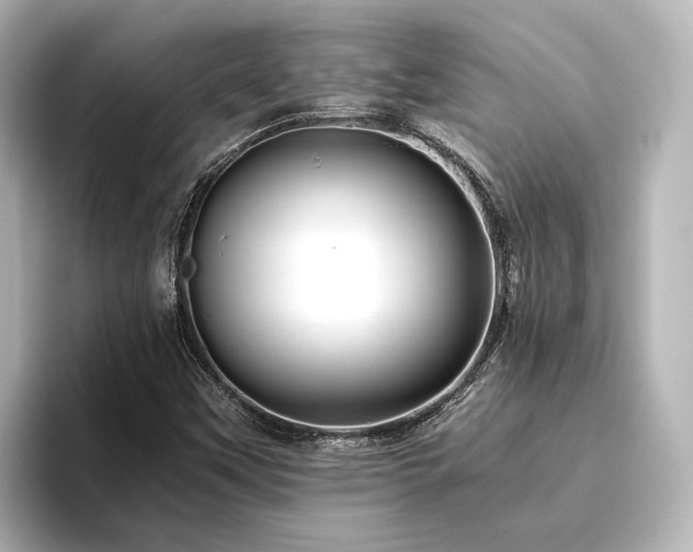 X0000096401451200801241151