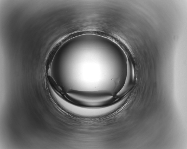 X0000096401452200801241151