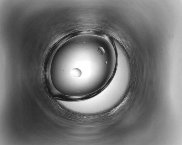 X0000096401453200801241151