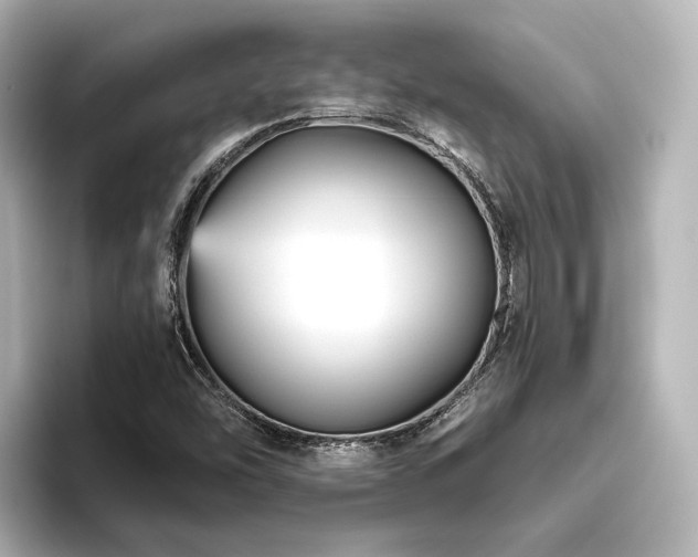 X0000096401454200801241151