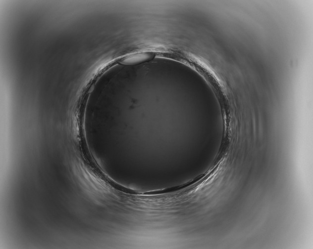 X0000096401455200801241151