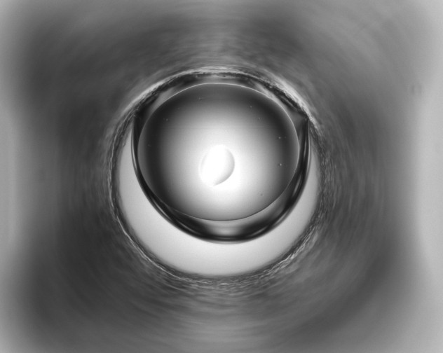 X0000096401456200801241151