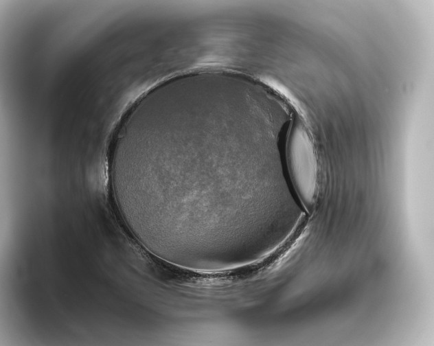 X0000096401461200801241151