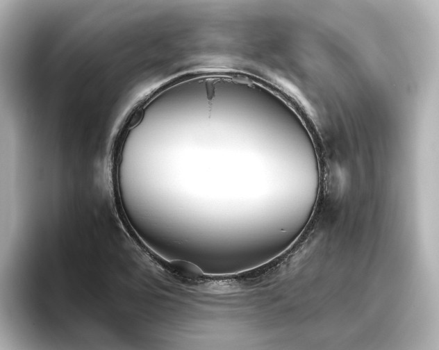 X0000096401464200801241151