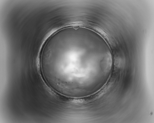 X0000096401466200801241151