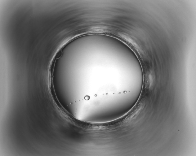 X0000096401467200801241151